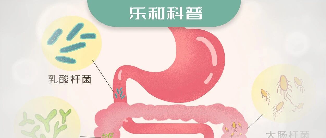 People who take probiotics should be aware that if they don't do this, their efforts may be in vain!